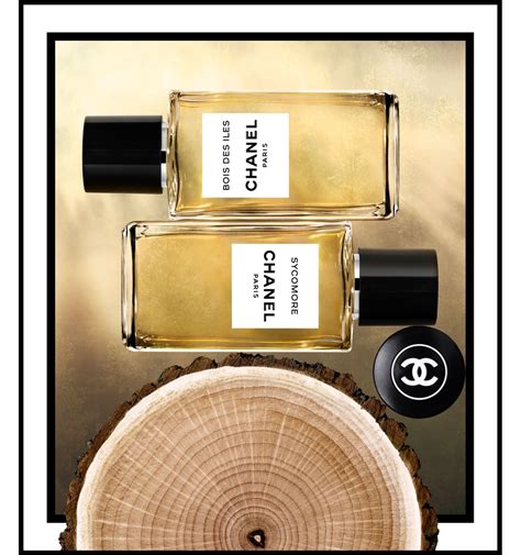 sycomore chanel 200ml|Chanel sycomore dupe.